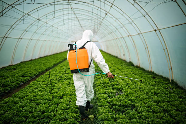 Best Affordable Pest Control Services  in Buena, NJ