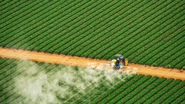 Best Mosquito Control Services  in Buena, NJ