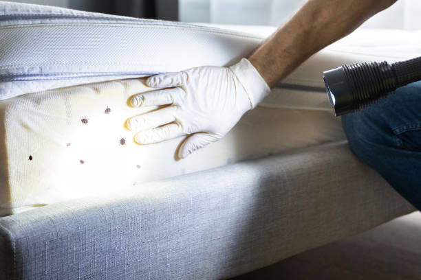 Best Pest Inspection Near Me  in Buena, NJ